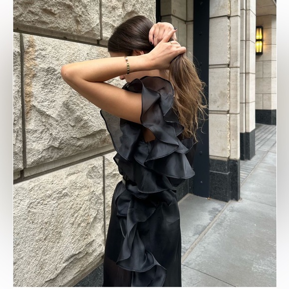 Marlies Grace Bea Dress Ruffle Sheer Satin black XS X Small maxi formal NEW - Picture 8 of 16